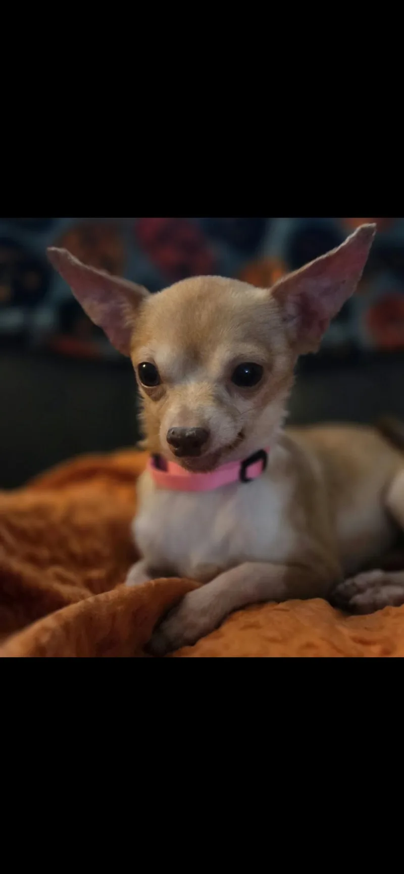 Minnie thumbnail 4