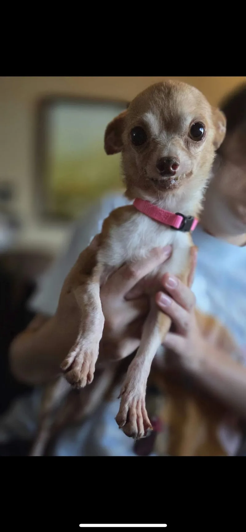 Minnie thumbnail 5