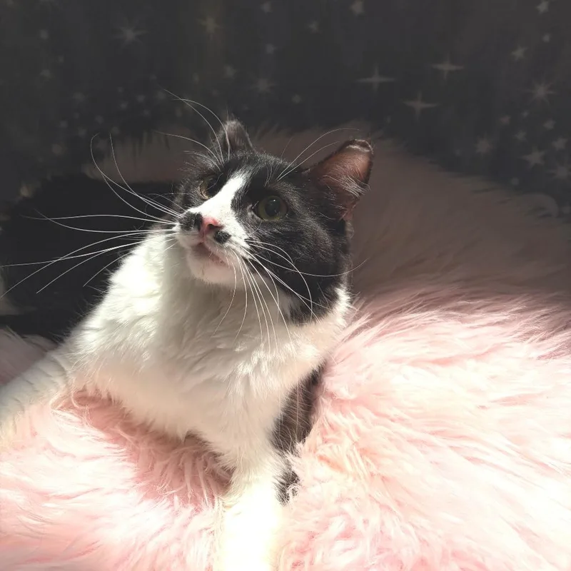 Pepper thumbnail 2