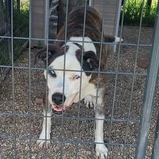 Cam thumbnail 5