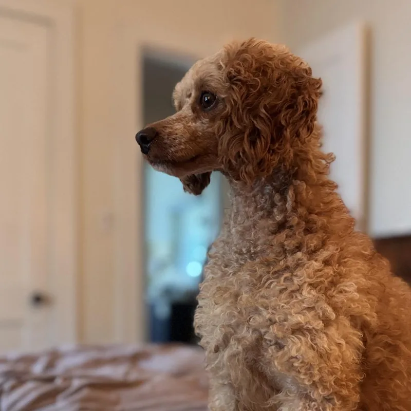 Penny Sue thumbnail 3