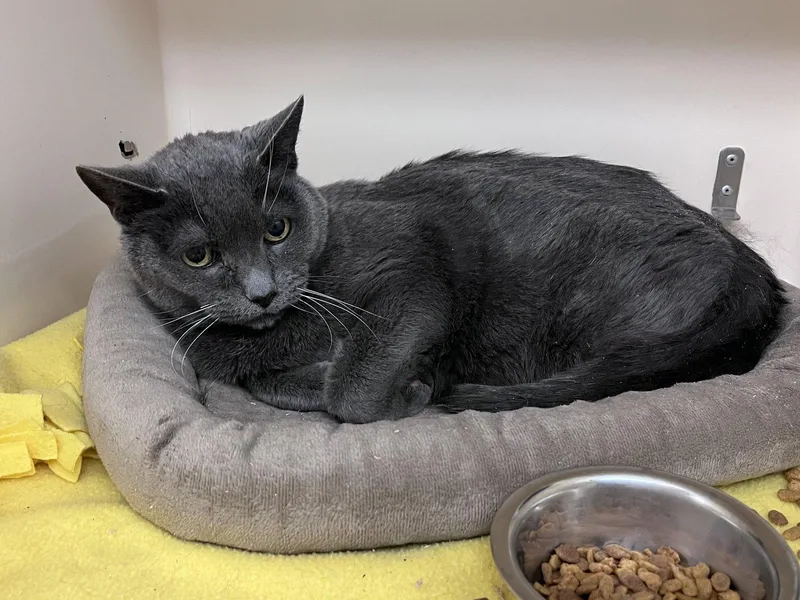 Kirby Rm thumbnail 2