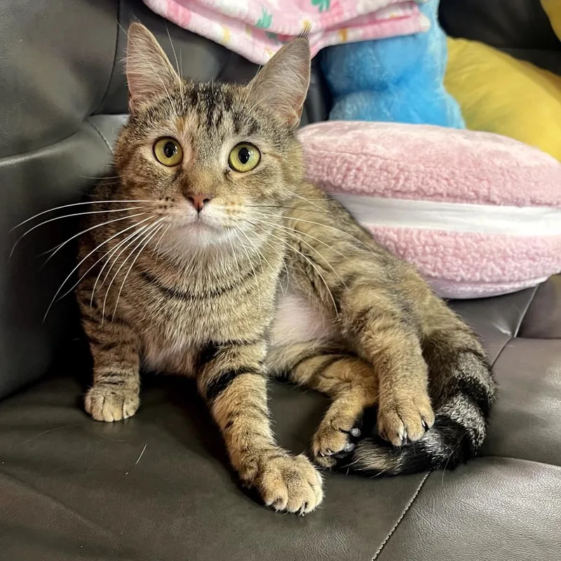 Pooh Girl thumbnail 2