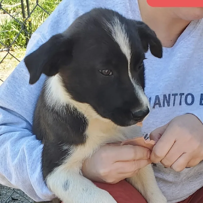 Anita