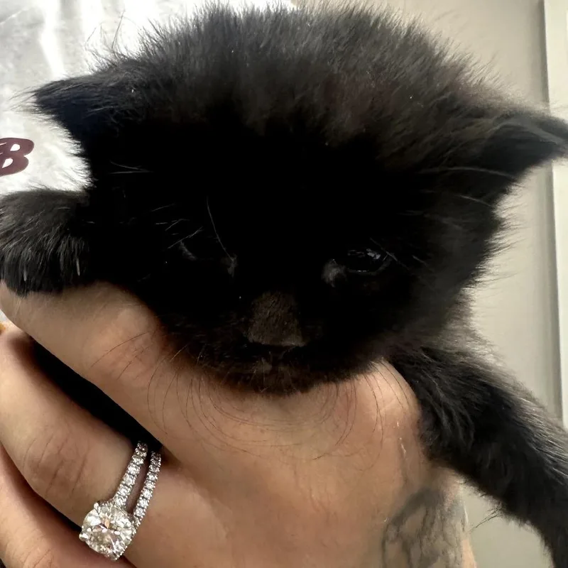 Luckenbach thumbnail 2