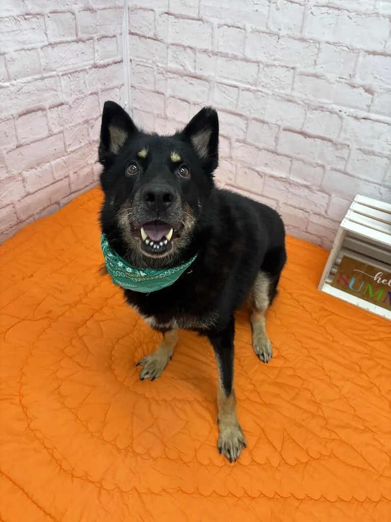 Odin