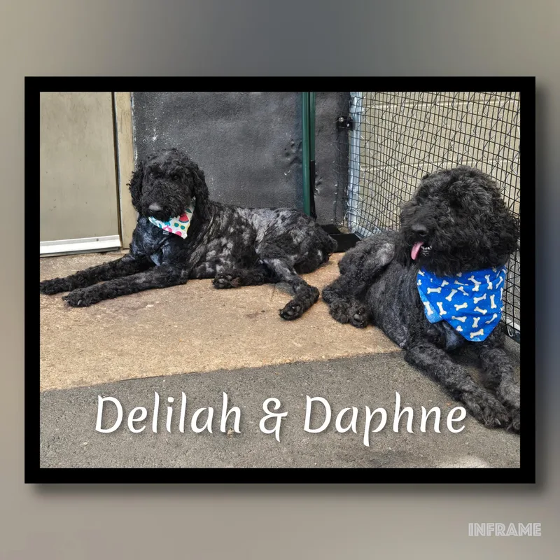 Delilah