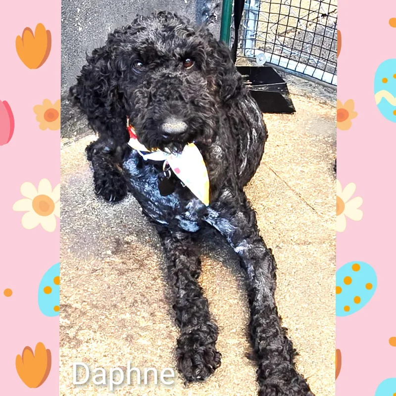 Delilah thumbnail 3