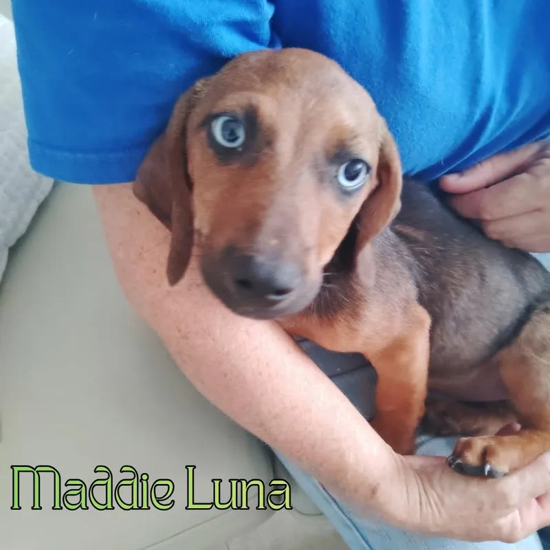 Maddie Luna thumbnail 3