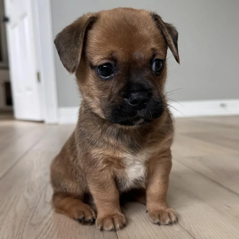 Happy thumbnail 2