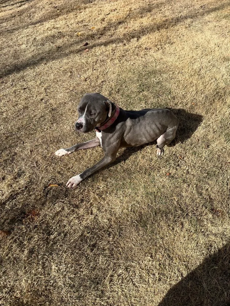 Hadley Grace thumbnail 2