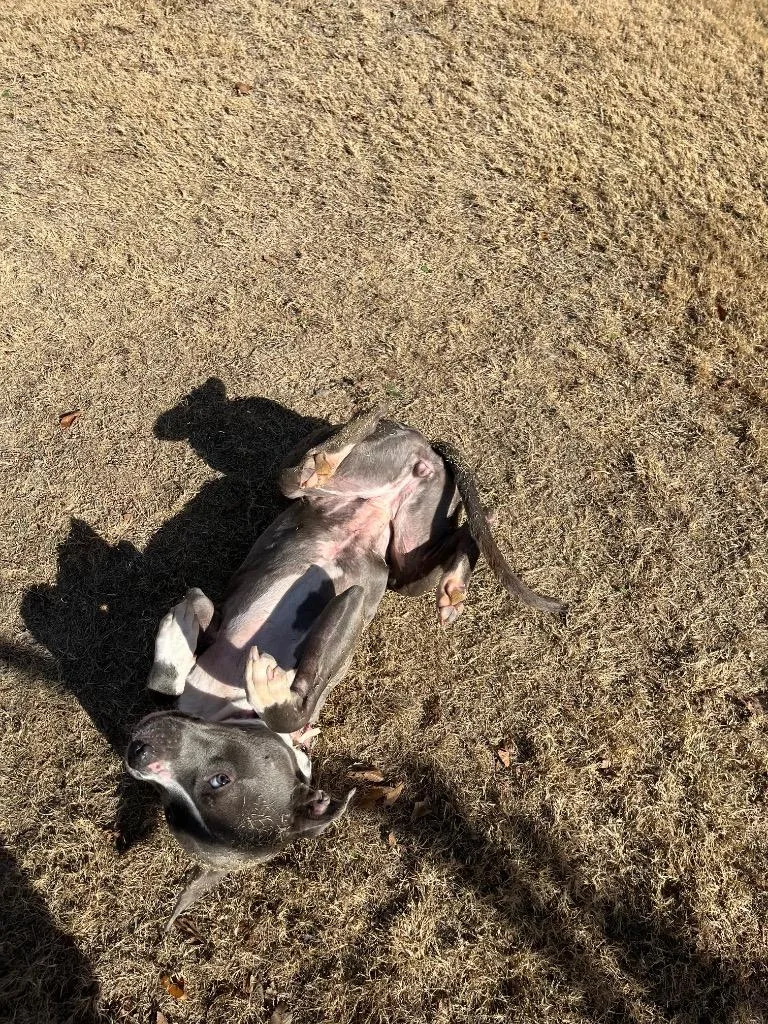 Hadley Grace thumbnail 3