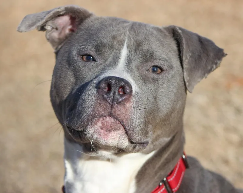 Hadley Grace thumbnail 5