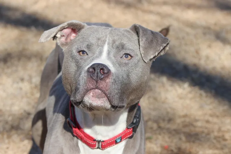 Hadley Grace thumbnail 6