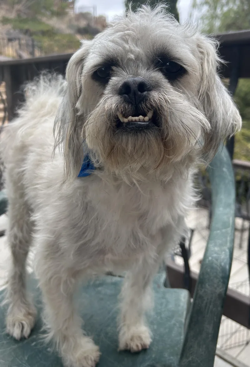 Charlie