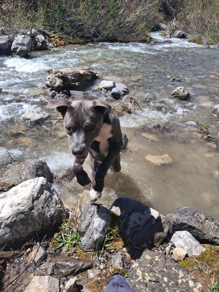 Winnie