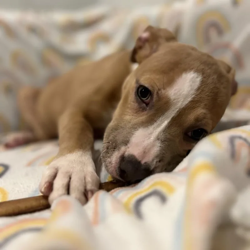 Charlotte thumbnail 2