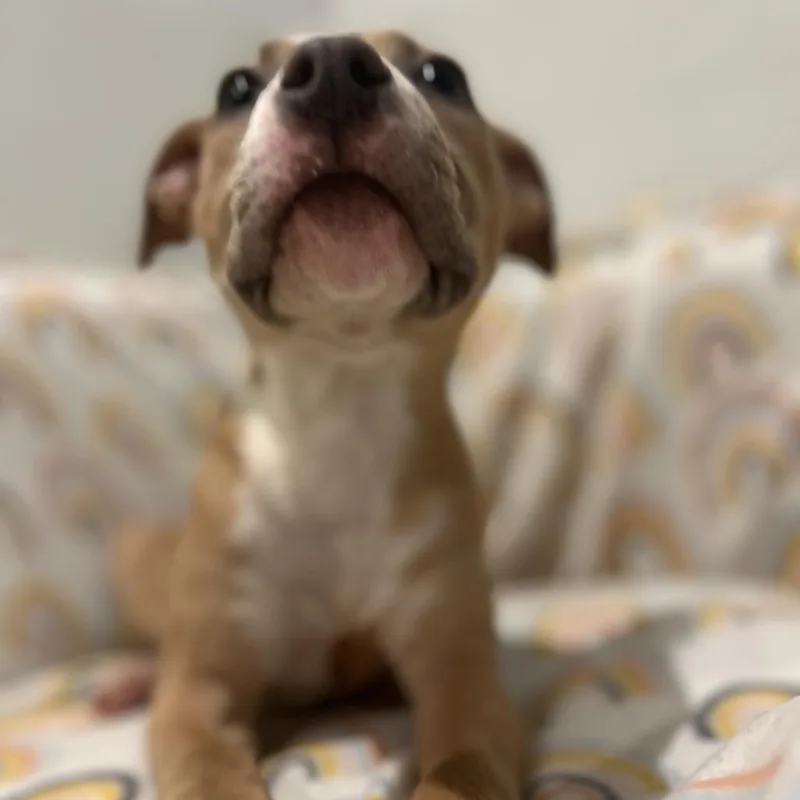 Charlotte thumbnail 3