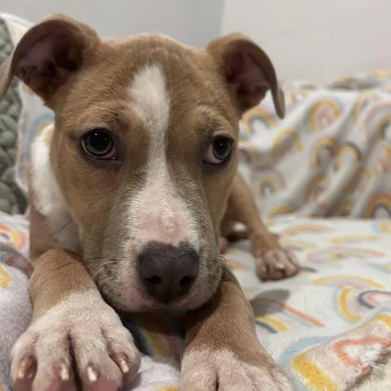 Charlotte thumbnail 4