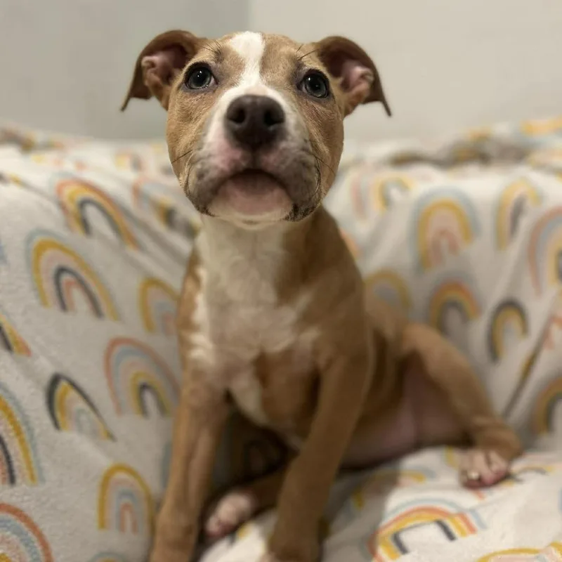 Charlotte thumbnail 5