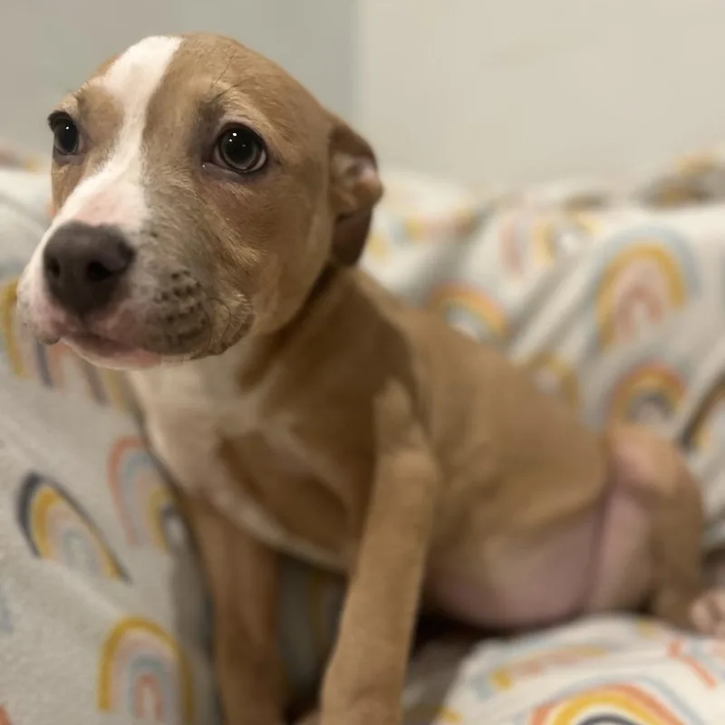 Charlotte thumbnail 6