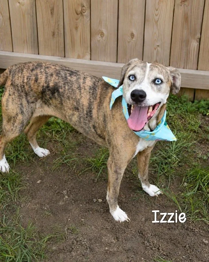 Izzie thumbnail 2