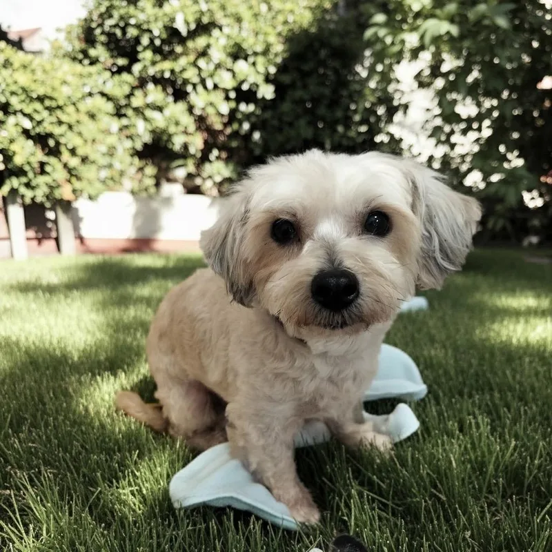 Stellayo Lb Girl thumbnail 2