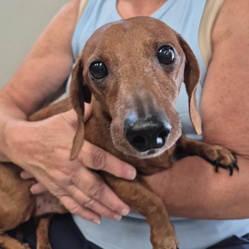 Bernie thumbnail 2