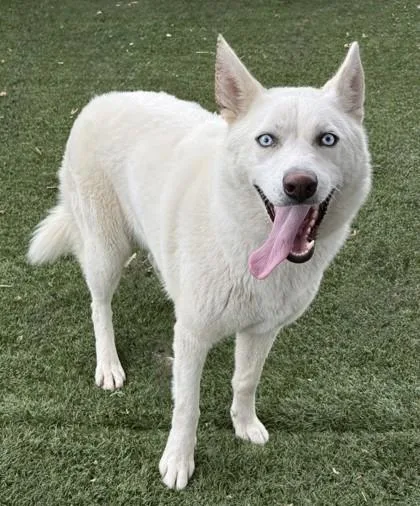 Marble thumbnail 2