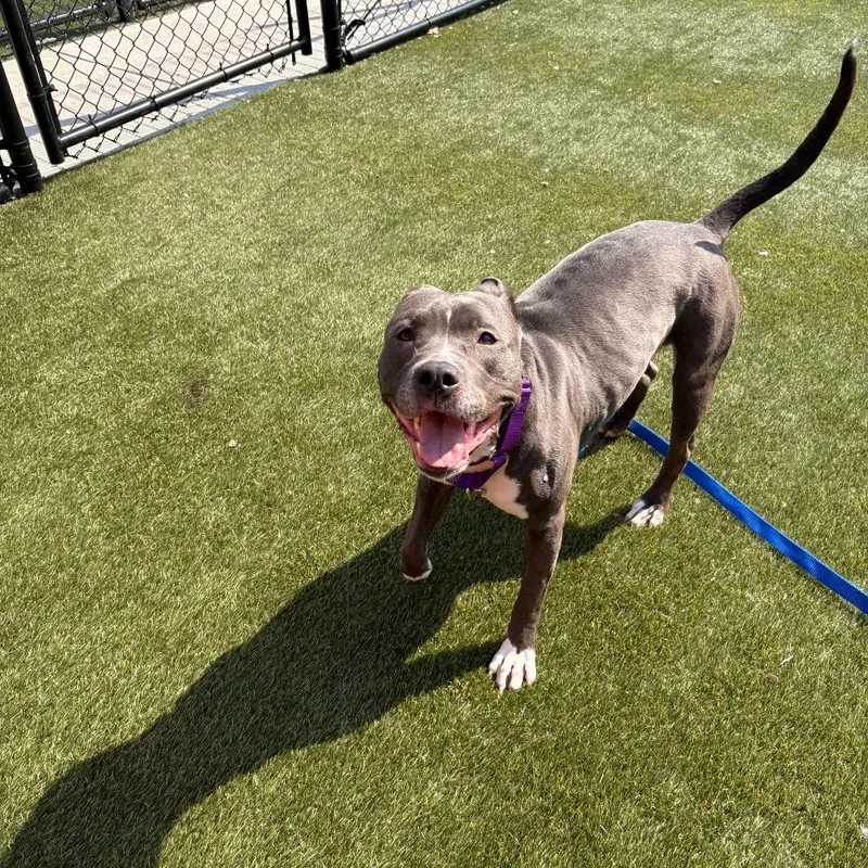 Ms Muppet thumbnail 5