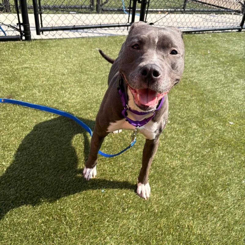 Ms Muppet thumbnail 6