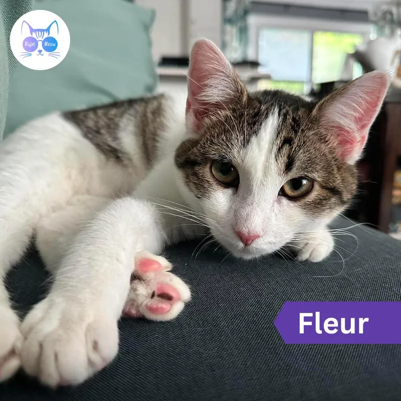 Fleur thumbnail 3