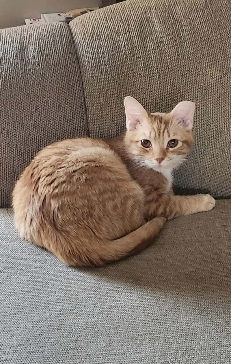 Zz__peaches__courtesy thumbnail 2