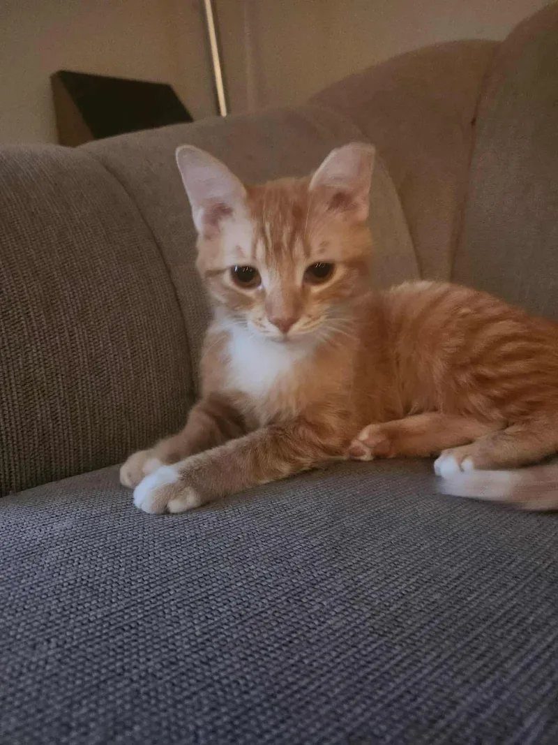 Zz__peaches__courtesy thumbnail 3