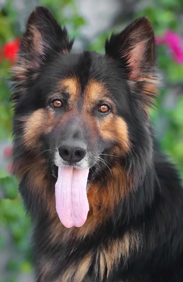 Marlow Von Monschau thumbnail 2