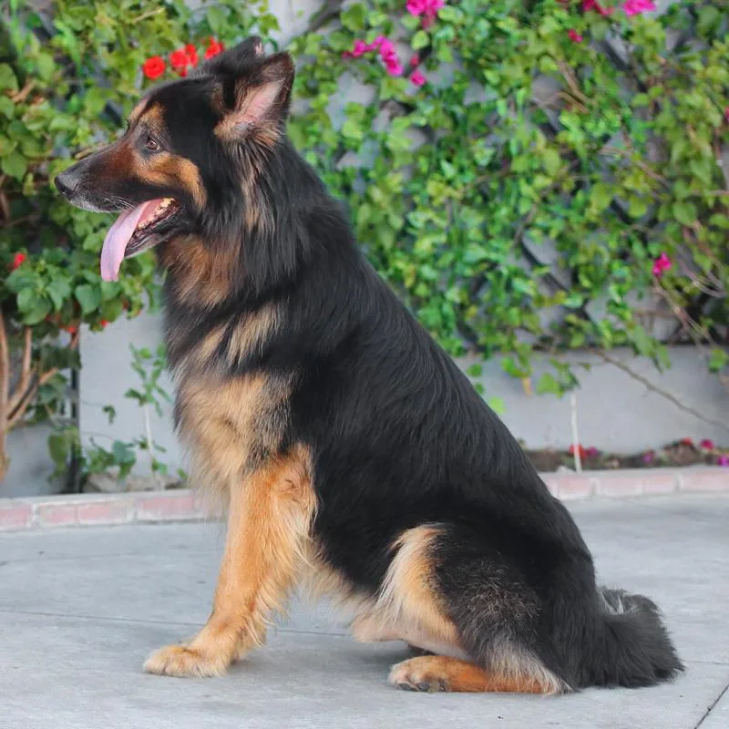 Marlow Von Monschau thumbnail 3