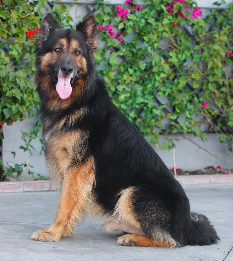 Marlow Von Monschau thumbnail 4