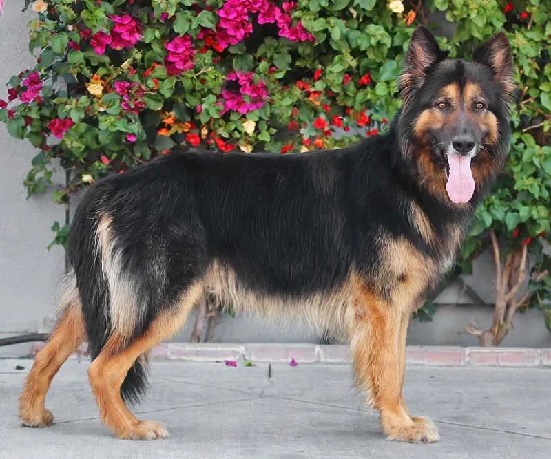 Marlow Von Monschau thumbnail 6