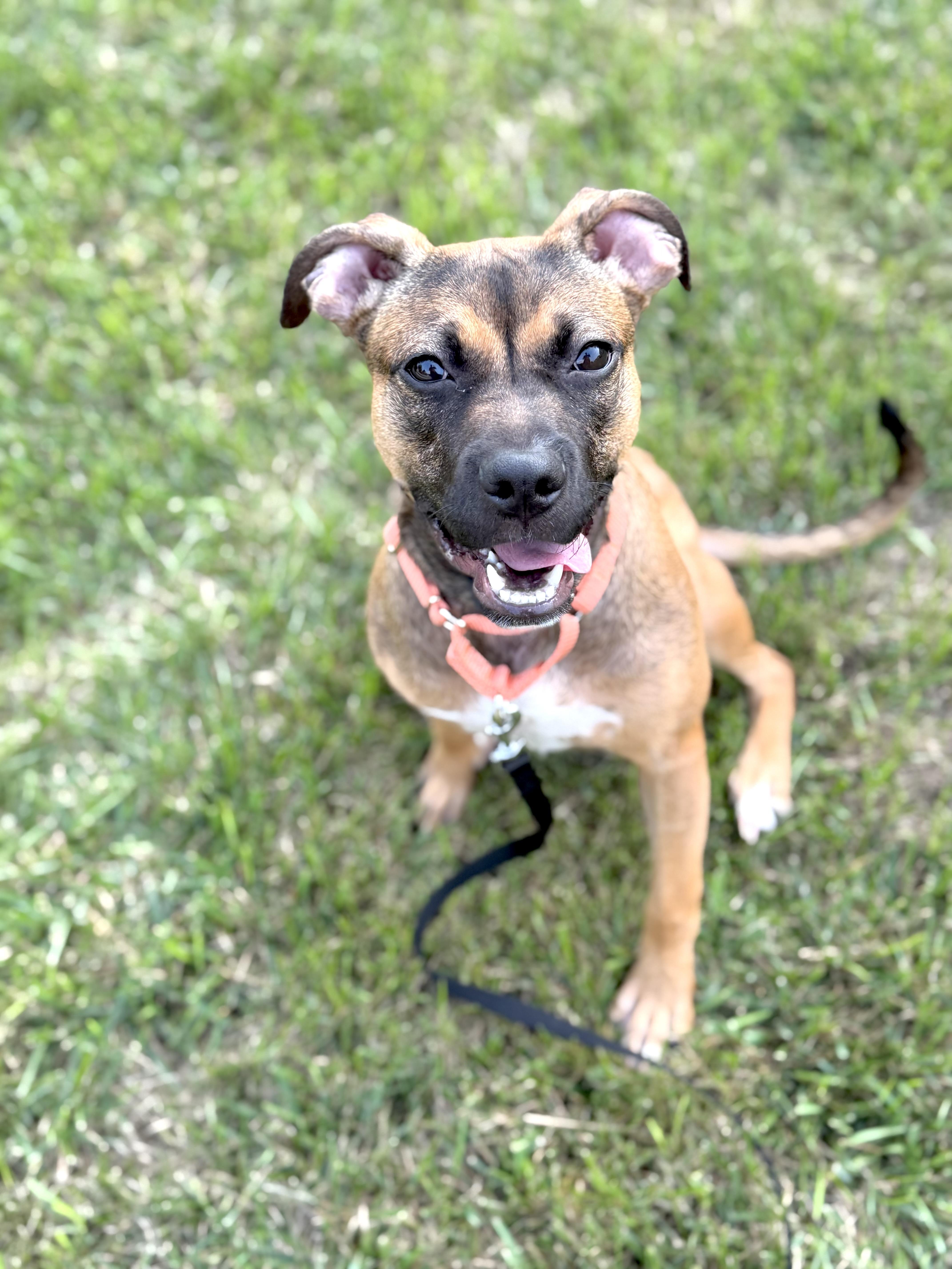 LuLu thumbnail 5