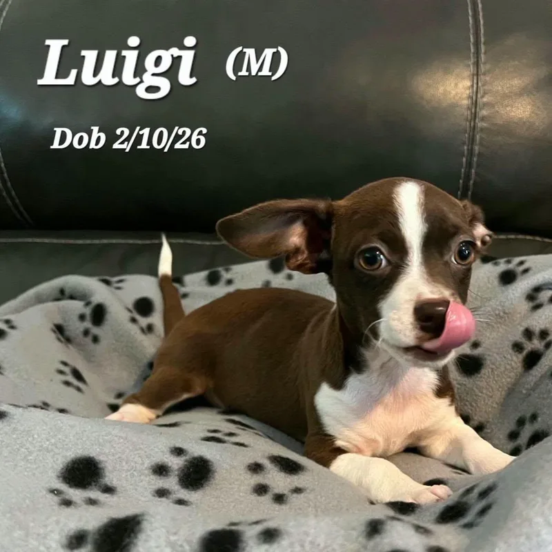 Luigi thumbnail 3