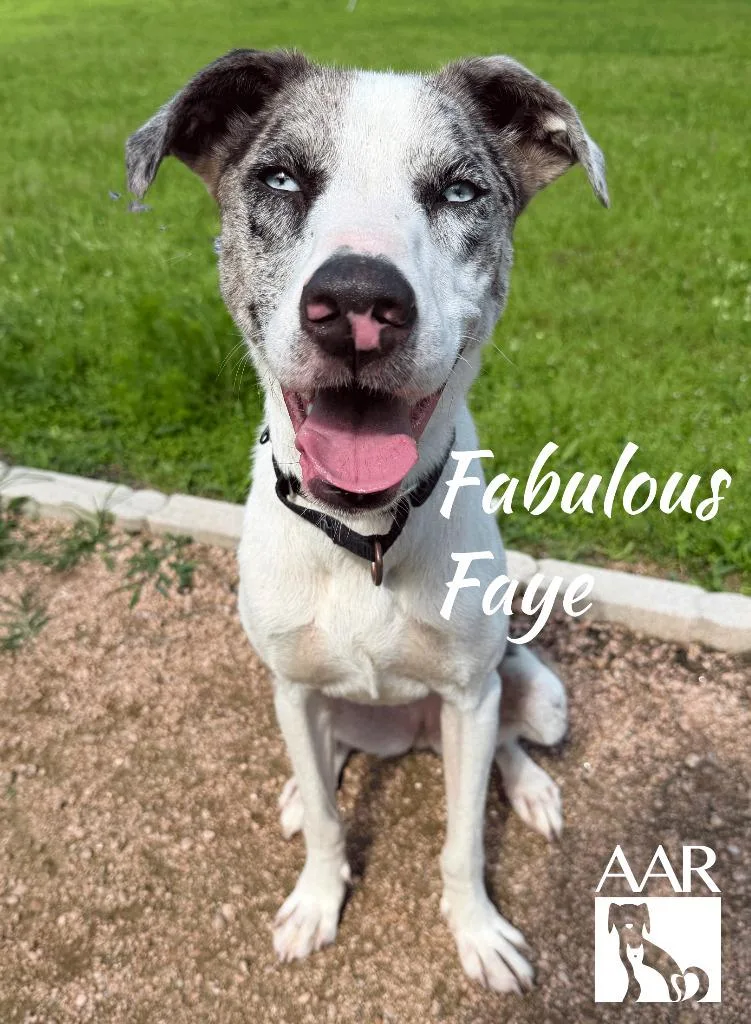 Fabulous Faye thumbnail 3