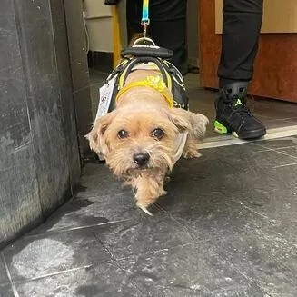 Ducky Fka Lucky thumbnail 2