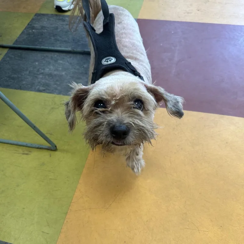 Ducky Fka Lucky thumbnail 4