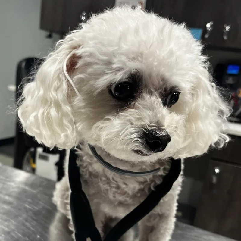 Gigi Rivers thumbnail 2