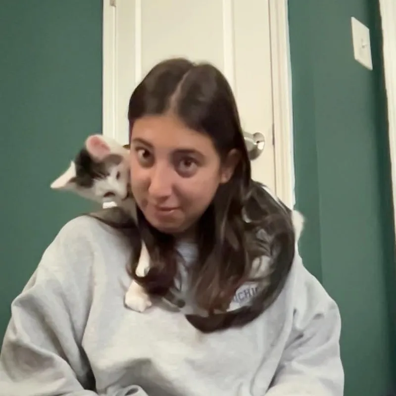 Panchito thumbnail 5