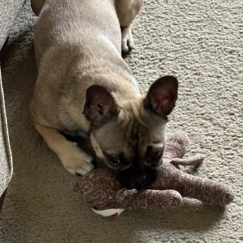 Chloe thumbnail 3