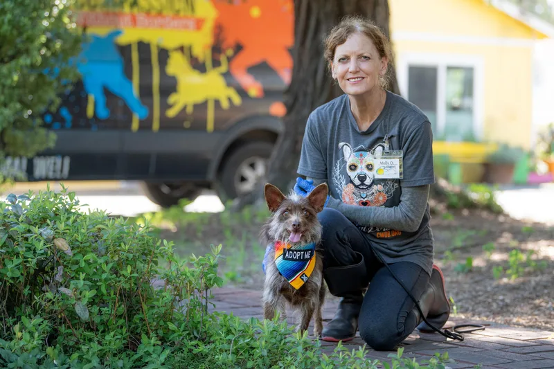 Chocorrol thumbnail 3