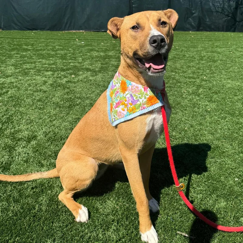 Winifred thumbnail 2