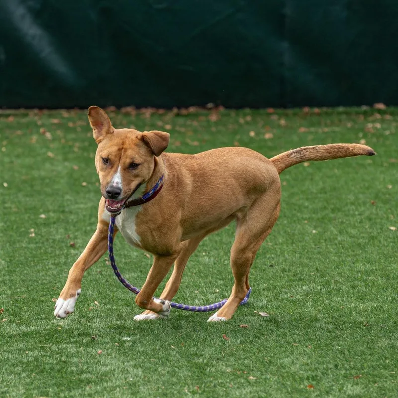 Winifred thumbnail 4