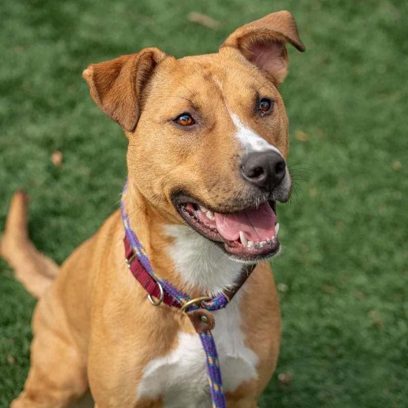 Winifred thumbnail 5